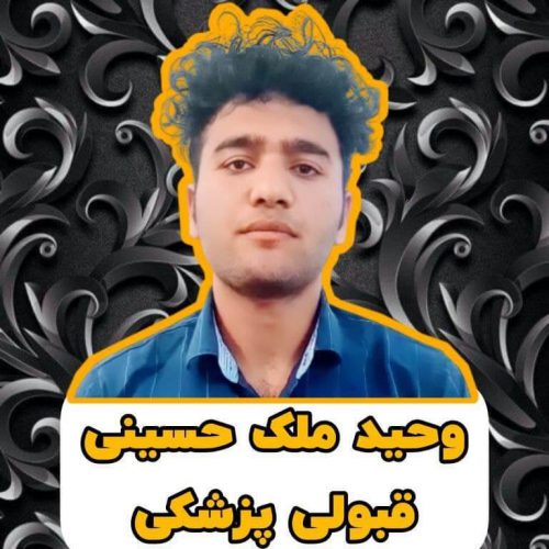 انتخاب رشته وحید ملک حسینی
