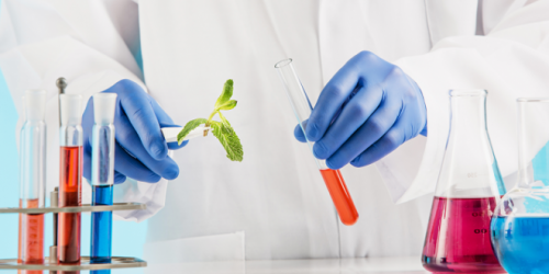بازار کار و آینده شغلی رشته دانشگاهی مهندسی تولید وژنتیک گیاهی چیست؟